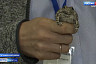 В Саратовской области проходит школа для 230 детей-интеллектуалов 